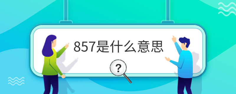 857ʲô˼