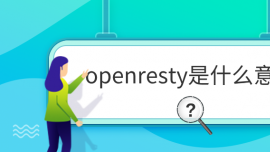 openrestyʲô˼