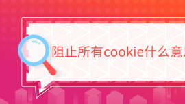 ֹcookieʲô˼